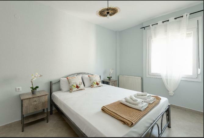 Bright Spacious Two-Bedroom Apartment Tesalonika Bagian luar foto